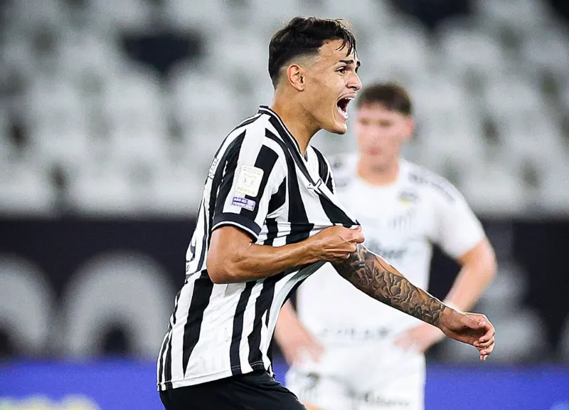 Botafogo 2 x 1 Santos - Para o Santos faltou um Kadir...