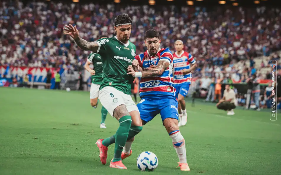 palmeiras fortaleza