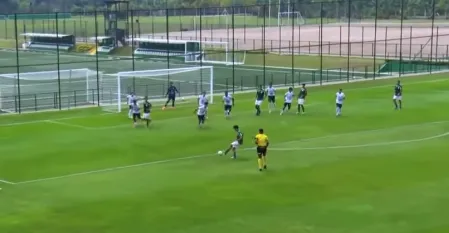 Palmeiras