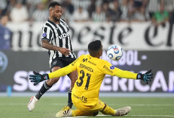 Botafogo dá adeus à Sul-Americana