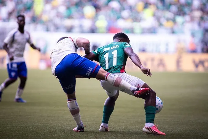 palmeiras copa