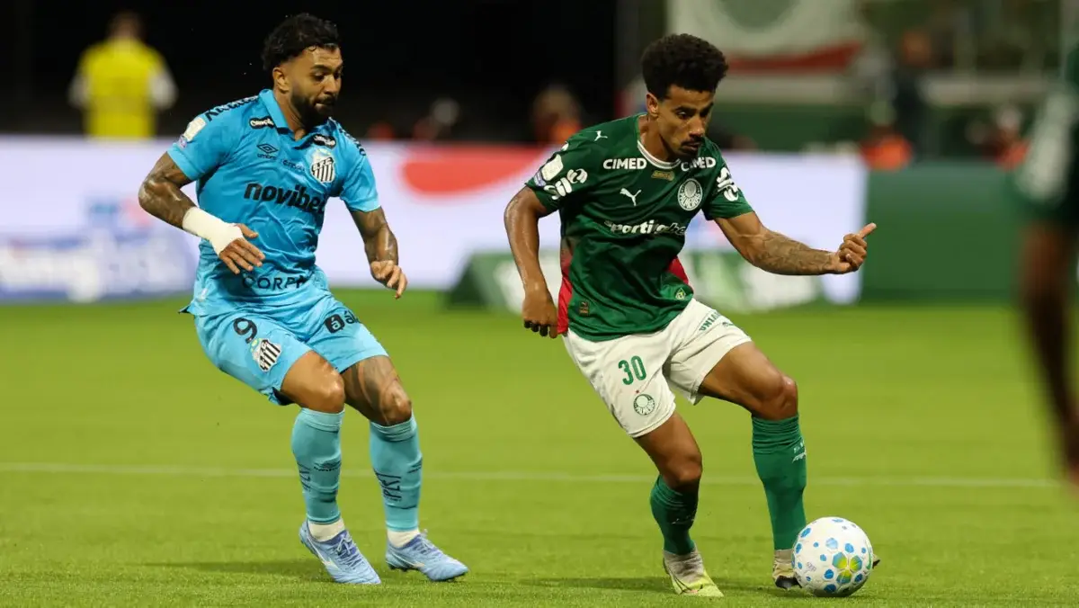 palmeiras santos