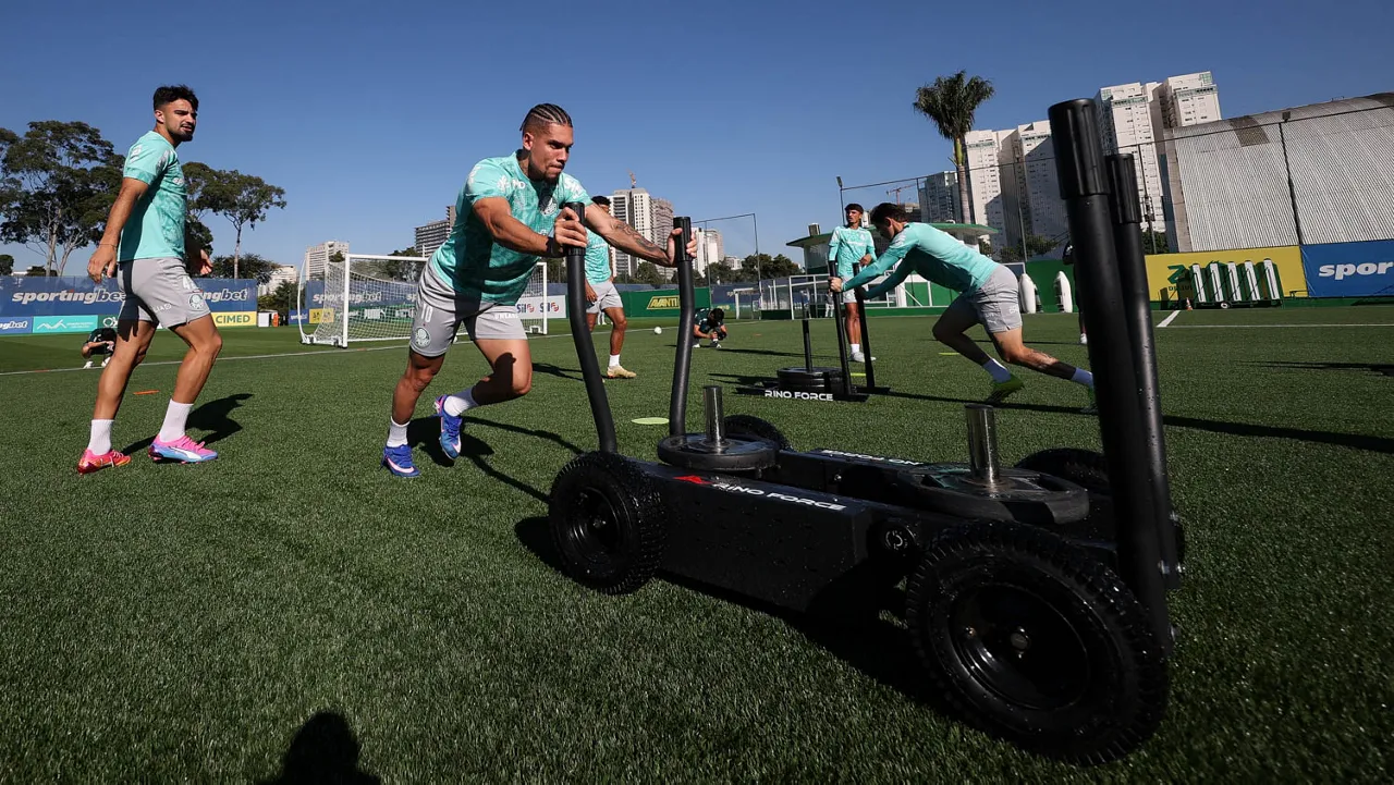 paulinho Cesar Greco Palmeiras