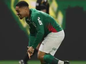 Palmeiras 2 x 0 São Paulo - Verdão dorme na liderança do Brasileirão