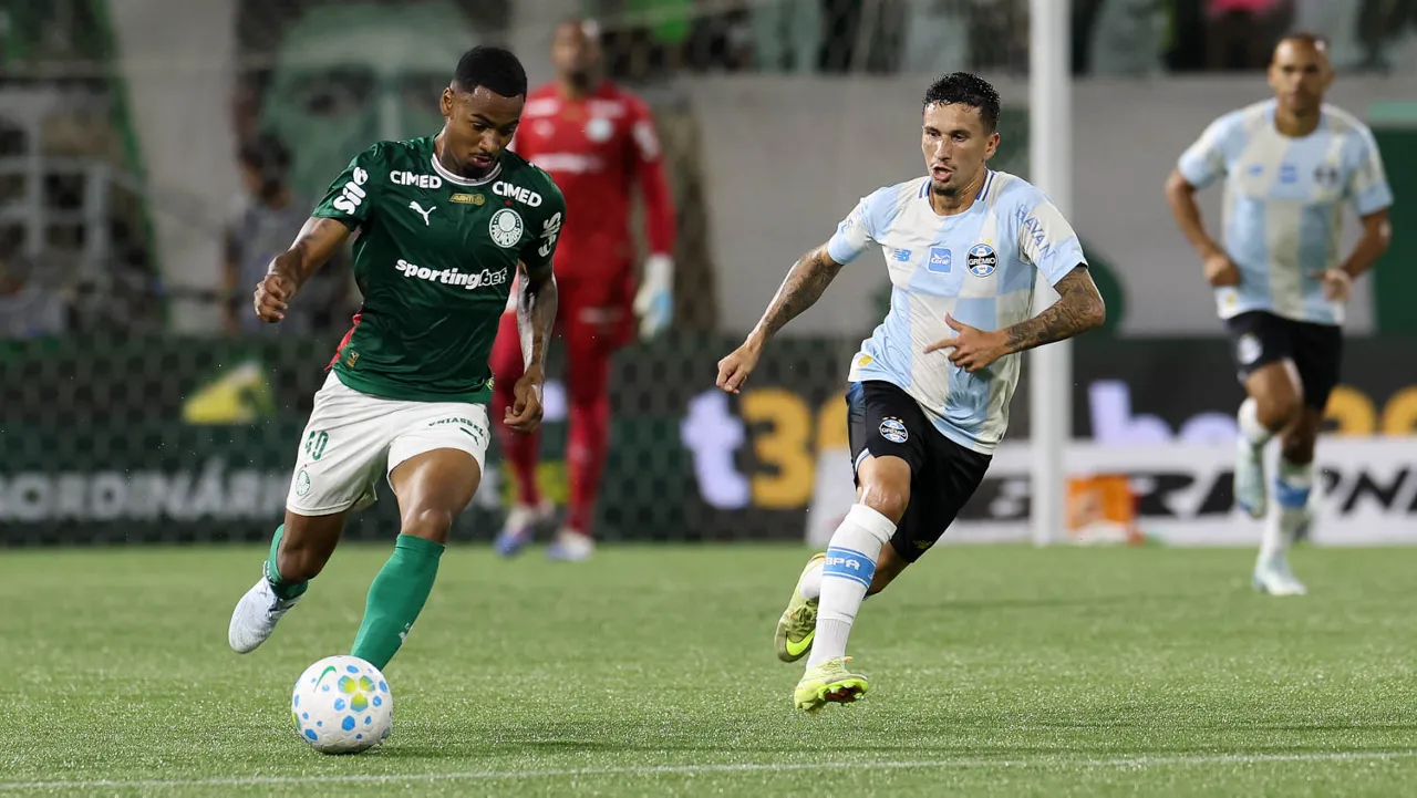 Grêmio Palmeiras (Foto: Cesar Greco)