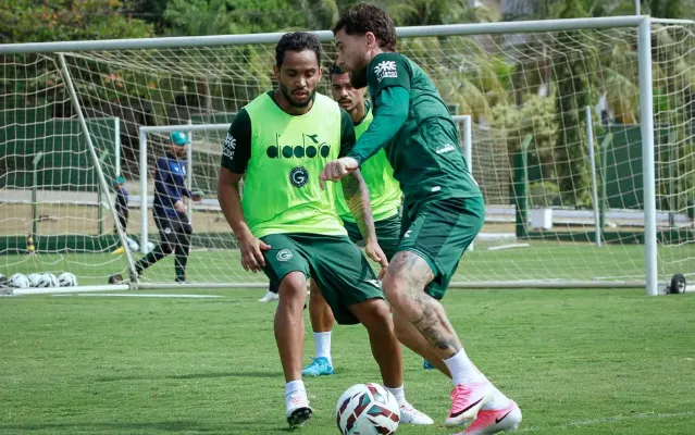 lourenco goias novorizontino rosiron rodrigues
