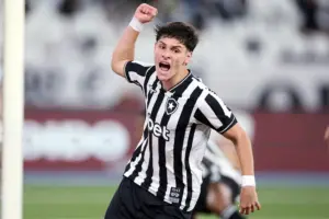Meia do Botafogo exalta atuação contra Grêmio: 