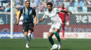 Veja quantos pontos o Palmeiras desperdiçou contra times do Z4
