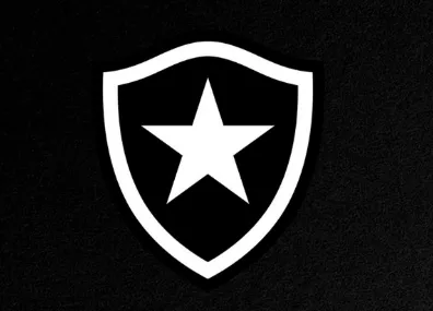Botafogo aprova aumento de capital para reforçar caixa da SAF